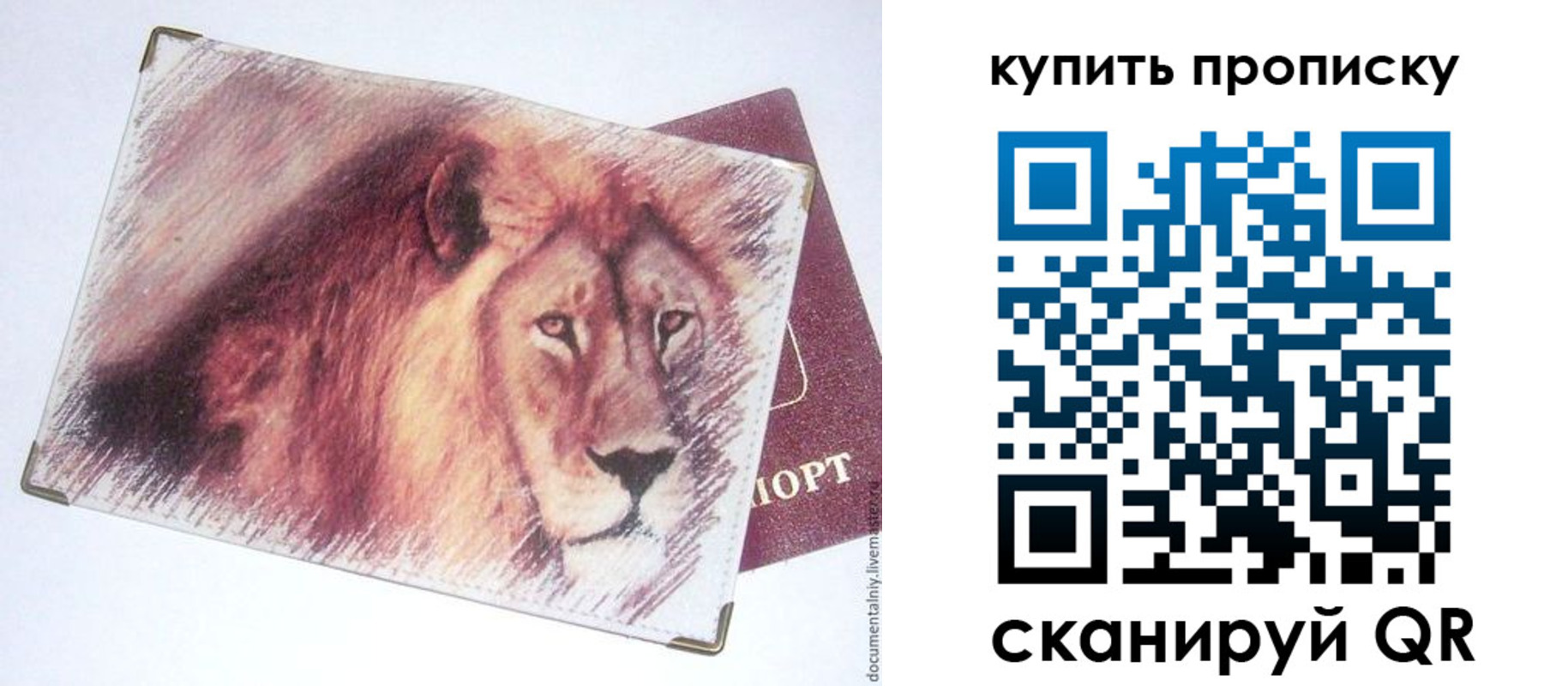 прописка паспорт в Кусе